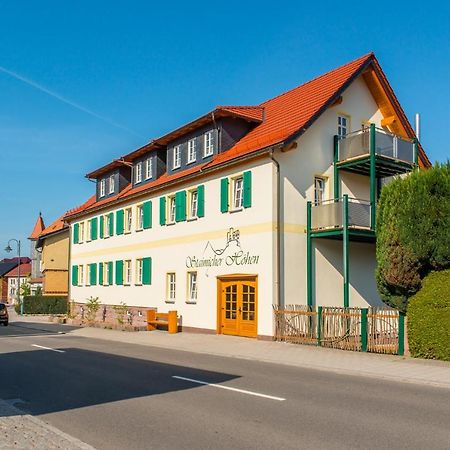 Staimicher Hoehen - Premium Appartements Kurort Steinbach-Hallenberg Exteriör bild